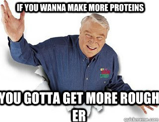 if you wanna make more proteins You gotta get more rough er  Obvious John Madden