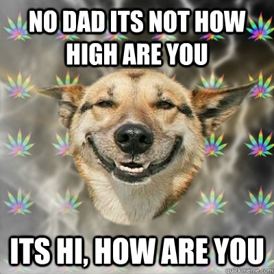 no dad its not how high are you its hi, how are you  Stoner Dog