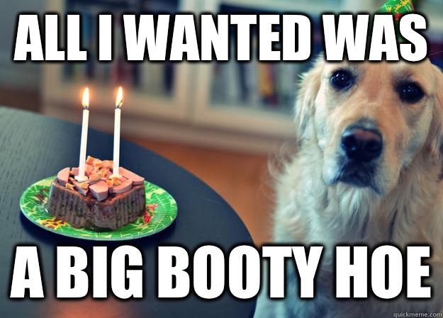 All I wanted was A big booty hoe  Sad Birthday Dog