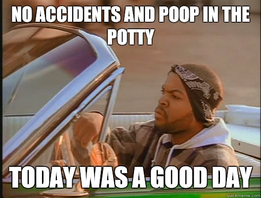 No accidents and poop in the potty Today was a good day  today was a good day