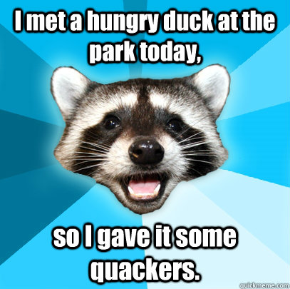 I met a hungry duck at the park today, so I gave it some quackers.  Lame Pun Coon