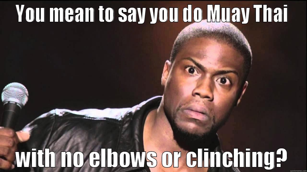 Wait, you do Muay Thai? - YOU MEAN TO SAY YOU DO MUAY THAI WITH NO ELBOWS OR CLINCHING? Misc