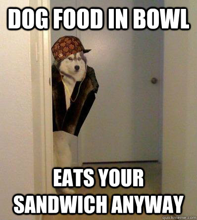 DOG FOOD IN BOWL EATS YOUR SANDWICH ANYWAY  Scumbag dog