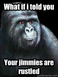 What if i told you Your jimmies are rustled   