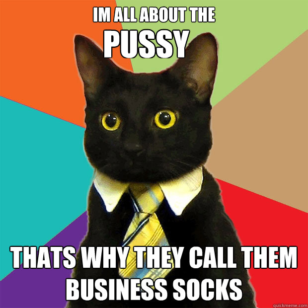 Im all about the Thats why they call them business socks Pussy  Business Cat