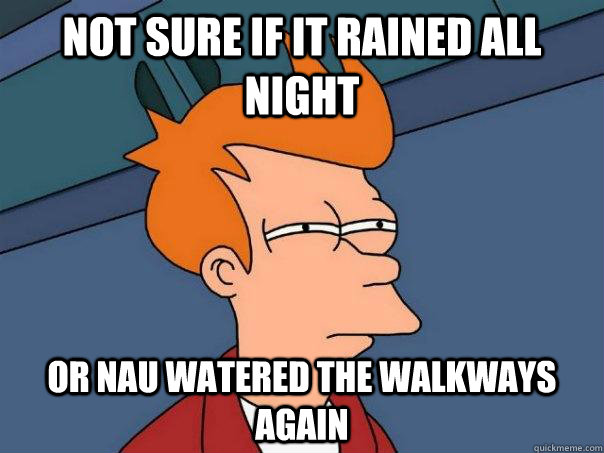 Not sure if it rained all night Or NAU watered the walkways again  Futurama Fry