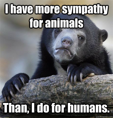 I have more sympathy for animals Than, I do for humans. - I have more sympathy for animals Than, I do for humans.  Confession Bear