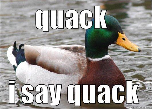 papow quack quack - QUACK  I SAY QUACK Actual Advice Mallard