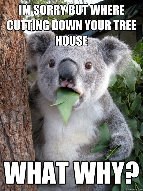 im sorry but where cutting down your tree house what why?  koala bear