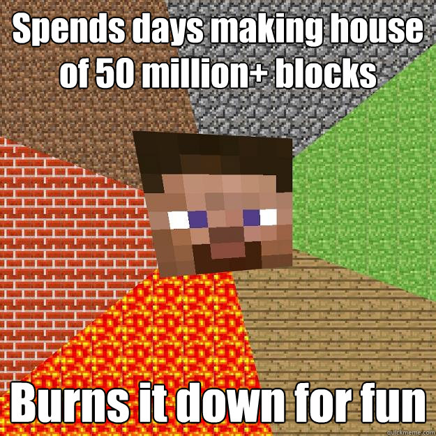 Spends days making house of 50 million+ blocks Burns it down for fun  Minecraft