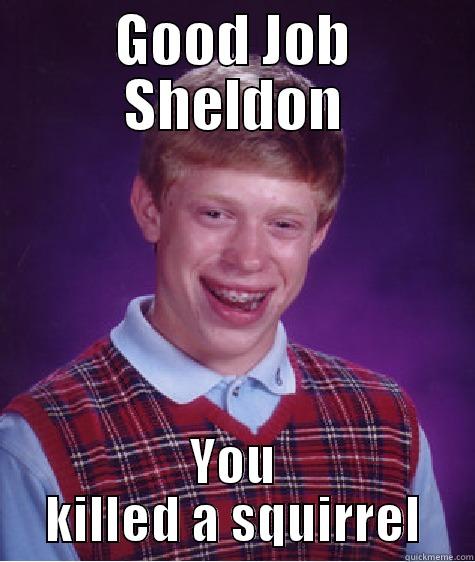 sheldon squirrel - GOOD JOB SHELDON YOU KILLED A SQUIRREL Bad Luck Brian