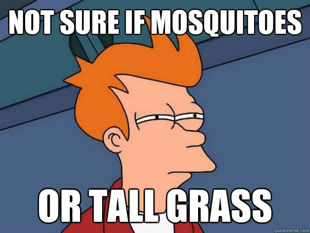 Not sure if mosquitoes or tall grass  Futurama Fry