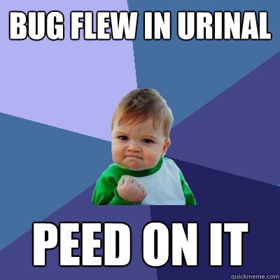 Bug flew in urinal peed on it  Success Kid