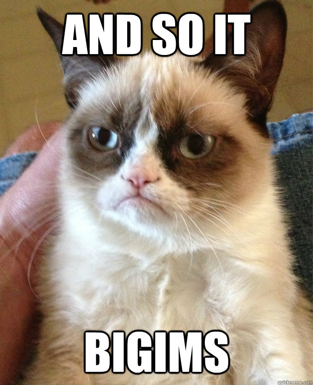 and so it bigims  Grumpy Cat