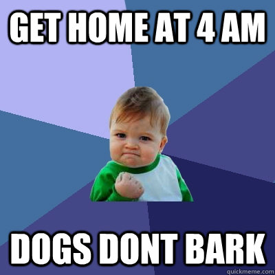 Get home at 4 am Dogs dont bark  Success Kid