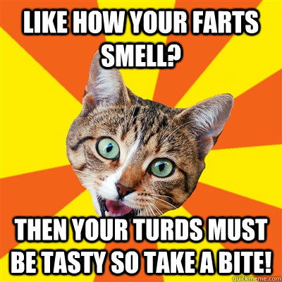 like how your farts smell? then your turds must be tasty so take a bite!  Bad Advice Cat