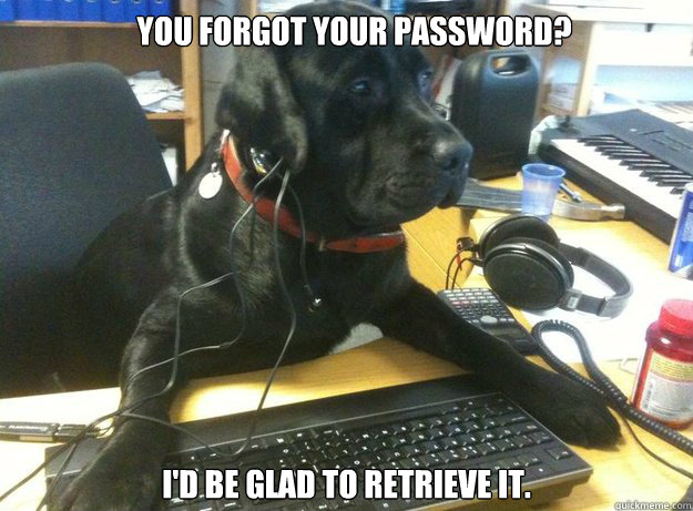 You forgot your password? I'd be glad to retrieve it. - You forgot your password? I'd be glad to retrieve it.  Tech Support Dog