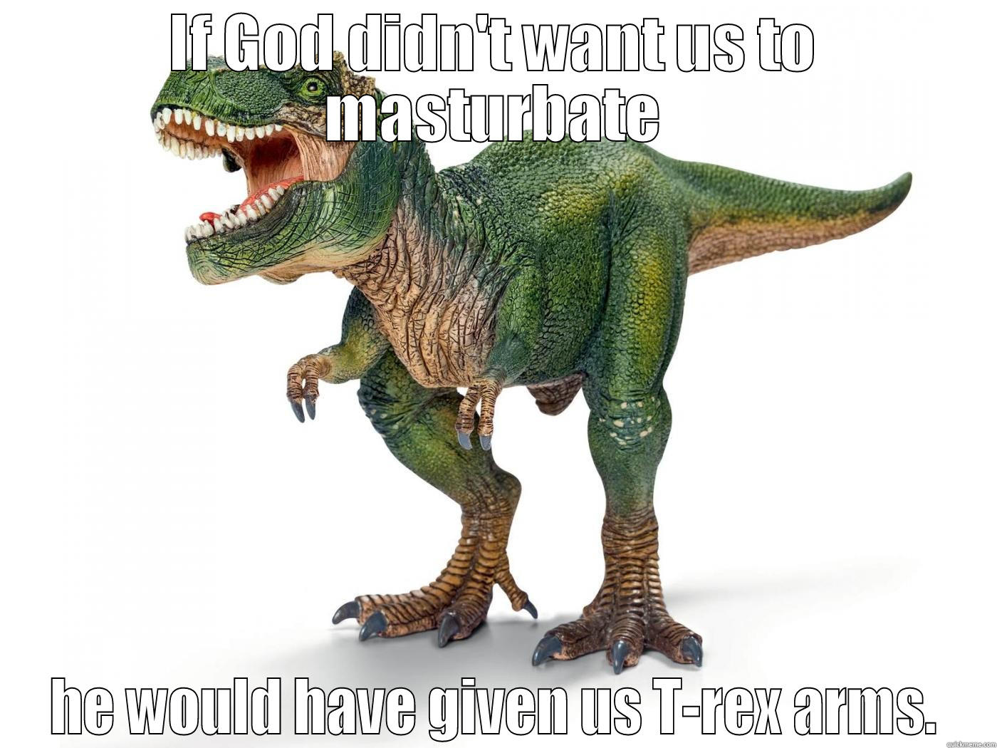 IF GOD DIDN'T WANT US TO MASTURBATE HE WOULD HAVE GIVEN US T-REX ARMS. Misc