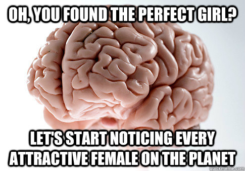 oh, you found the perfect girl? let's start noticing every attractive female on the planet  Scumbag Brain