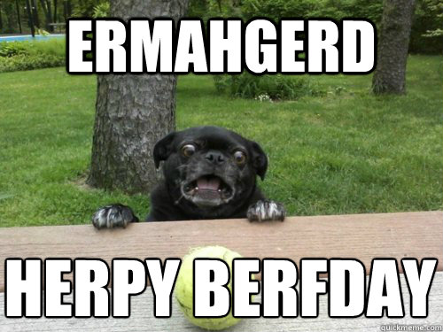 ermahgerd HERPY BERFDAY  