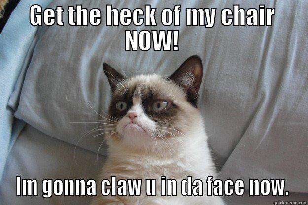 GET THE HECK OF MY CHAIR NOW! IM GONNA CLAW U IN DA FACE NOW. Grumpy Cat