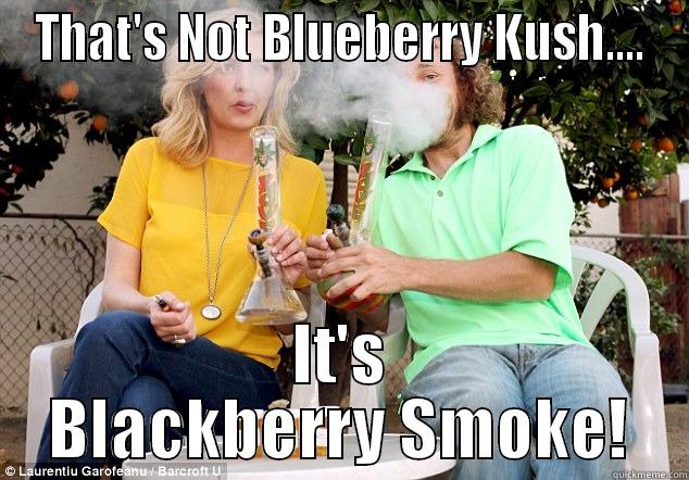 catchy title - THAT'S NOT BLUEBERRY KUSH.... IT'S BLACKBERRY SMOKE! Misc
