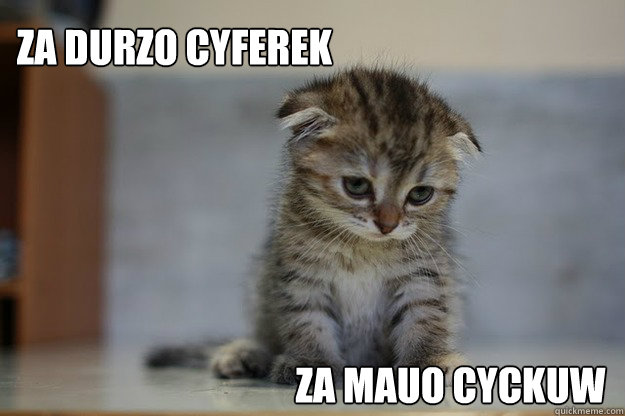 za durzo cyferek za mauo cyckuw  Sad Kitten