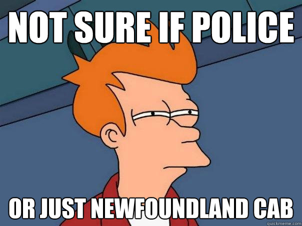 Not sure if police or just Newfoundland cab  Futurama Fry