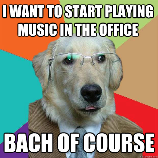 I want to start playing music in the office Bach of course  Business Dog