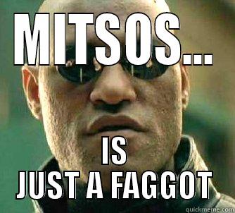 MITSOS... IS JUST A FAGGOT Matrix Morpheus