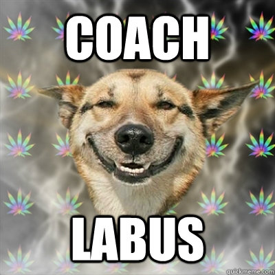 coach labus - coach labus  Stoner Dog