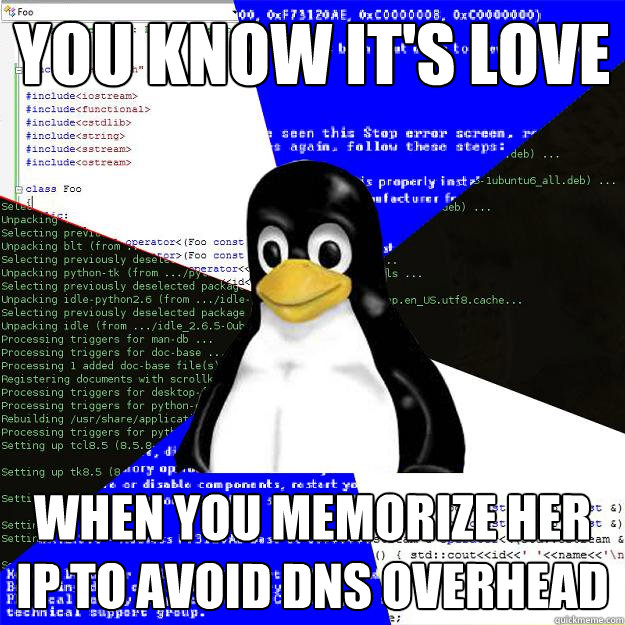 You know it's love When you memorize her IP to avoid DNS overhead  Computer Science Penguin