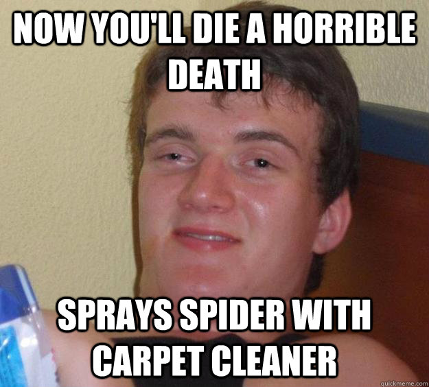 now you'll die a horrible death Sprays spider with carpet cleaner  10 Guy