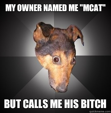 My owner named me 