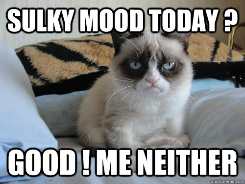 Sulky mood today ? Good ! Me neither - Sulky mood today ? Good ! Me neither  Misc