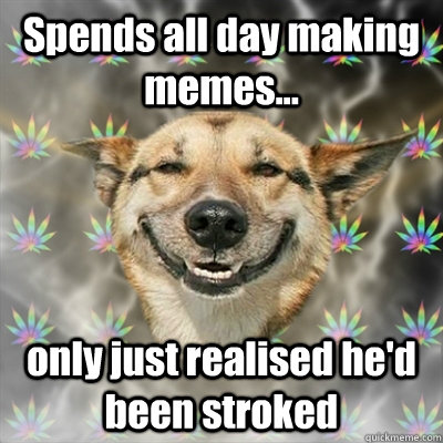 Spends all day making memes... only just realised he'd been stroked  Stoner Dog