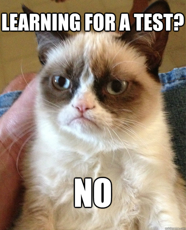 learning for a test? NO  Grumpy Cat