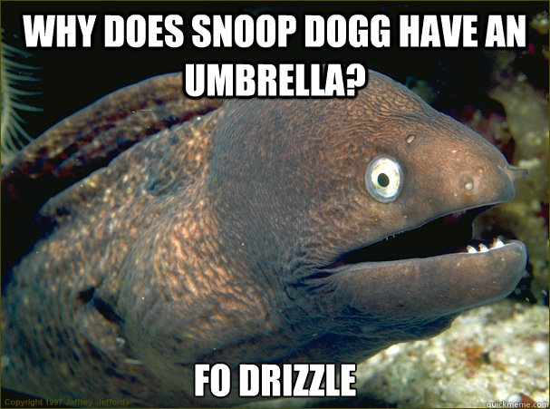 Why does Snoop Dogg have an umbrella? Fo Drizzle - Why does Snoop Dogg have an umbrella? Fo Drizzle  Bad Joke Eel