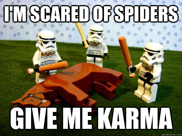 I'm scared of spiders give me karma - I'm scared of spiders give me karma  Misc