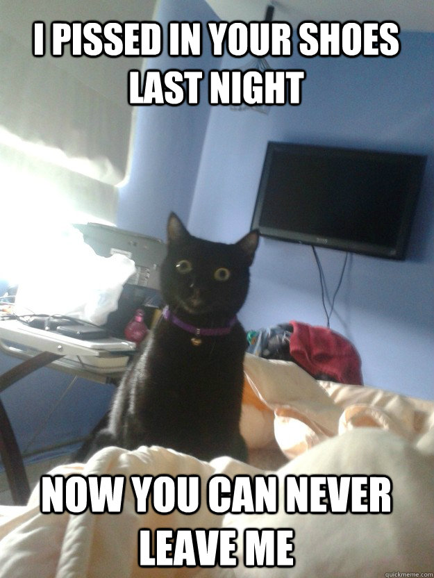 I pissed in your shoes last night Now you can never leave me  overly attached cat