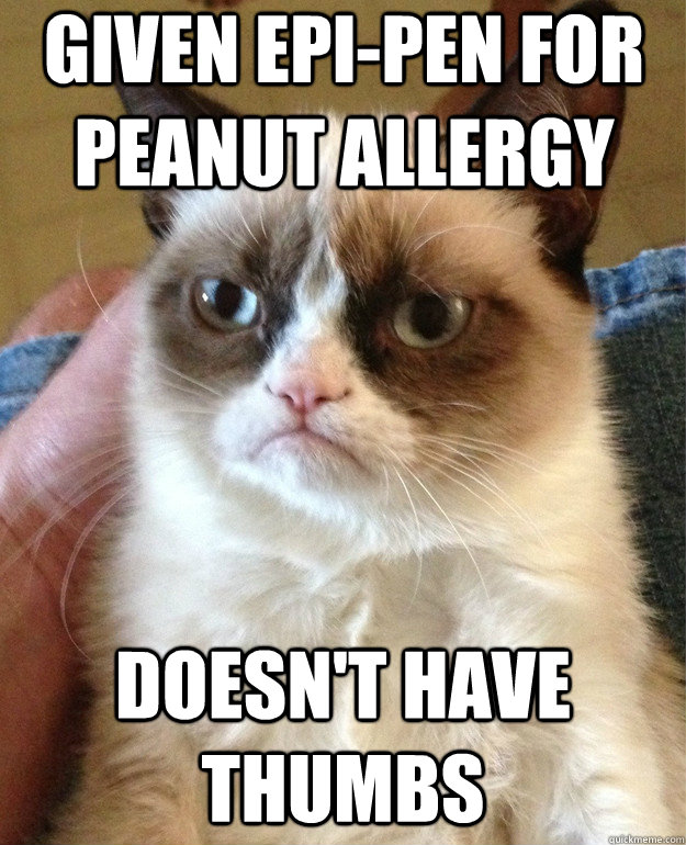 Given Epi-Pen for Peanut Allergy Doesn't have thumbs   Grumpy Cat