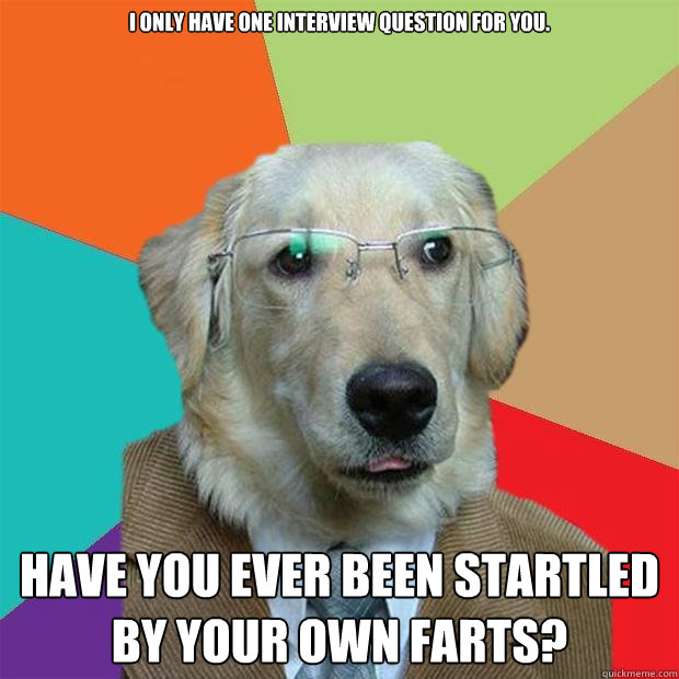 I only have one interview question for you.  Have you ever been startled by your own farts?  Business Dog