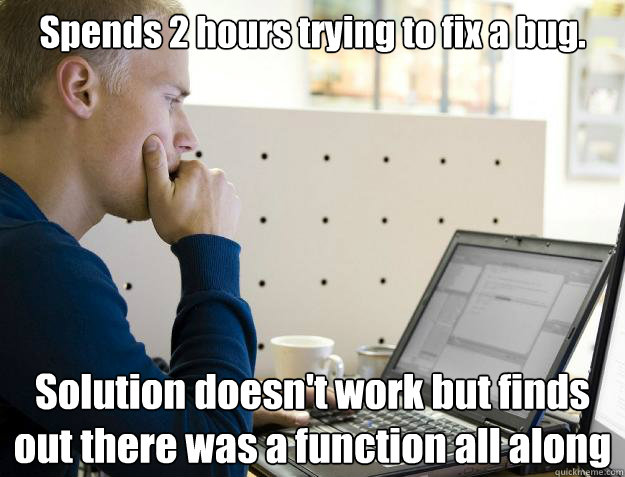 Spends 2 hours trying to fix a bug. Solution doesn't work but finds out there was a function all along  Programmer