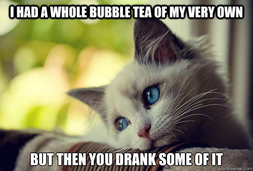 I had a whole bubble tea of my very own but then you drank some of it  First World Problems Cat