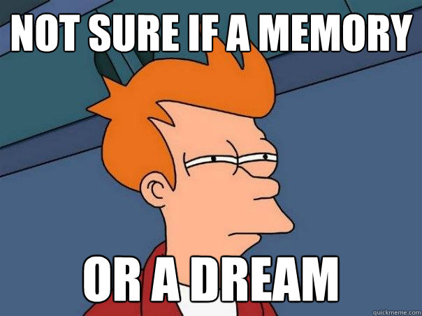 not sure if a memory or a dream  Futurama Fry