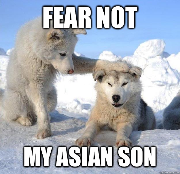 Fear not
 My Asian son  Caring Husky