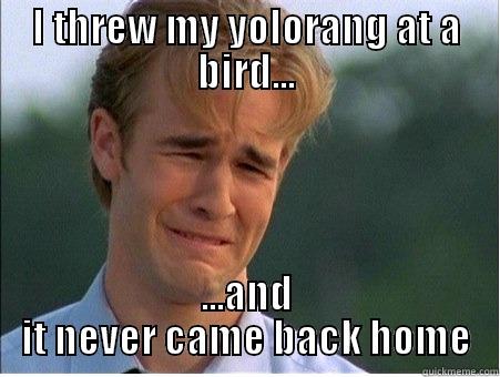 yolorang problems - I THREW MY YOLORANG AT A BIRD... ...AND IT NEVER CAME BACK HOME 1990s Problems