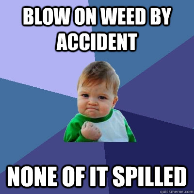 Blow on weed by accident None of it spilled  Success Kid