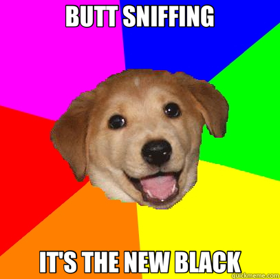 BUTT SNIFFING IT'S THE NEW BLACK  Advice Dog