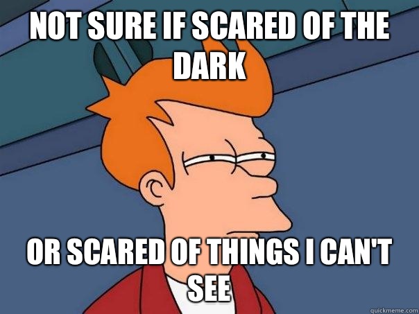 not sure if scared of the dark or scared of things i can't see  Futurama Fry